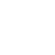 renew-icon